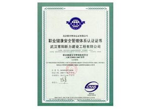 匠心筑就城市未来——武汉常阳新力建设工程图册赏析